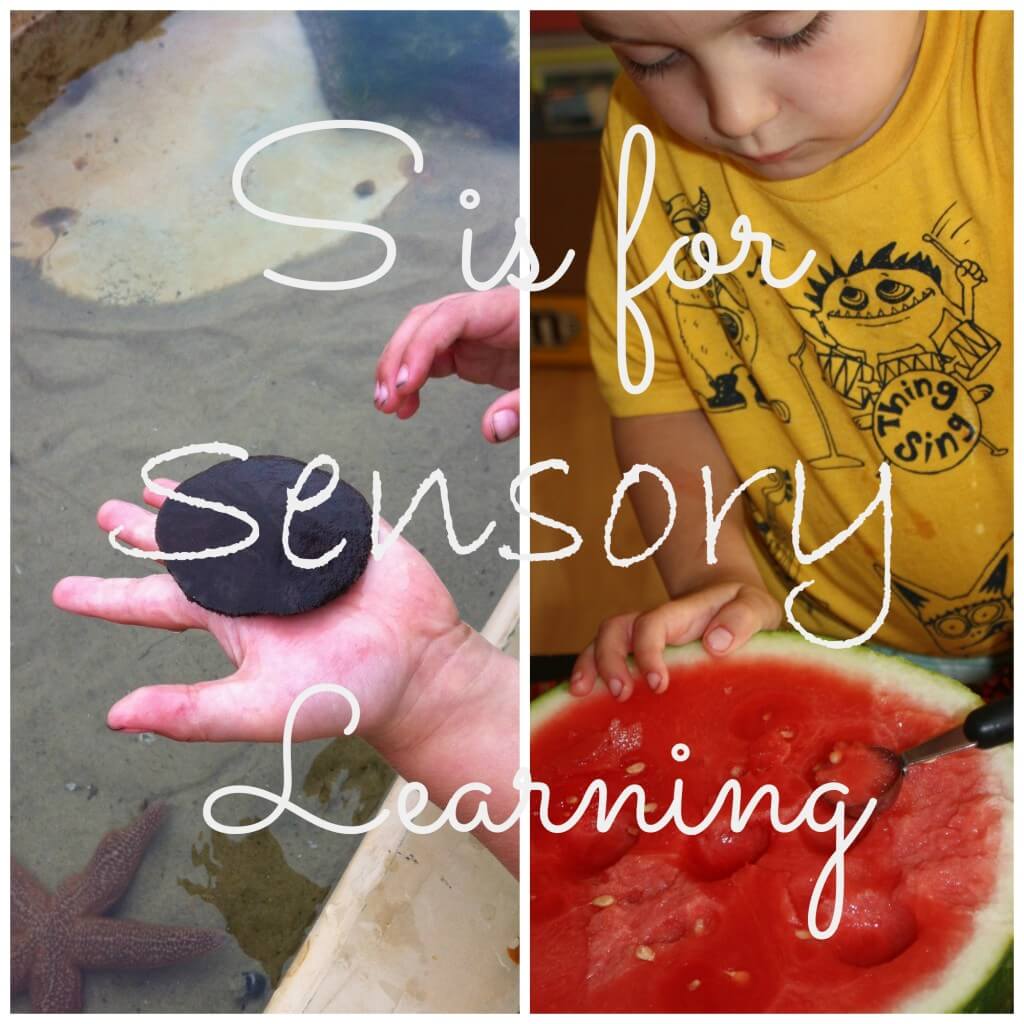 s is for sensory learning cover text