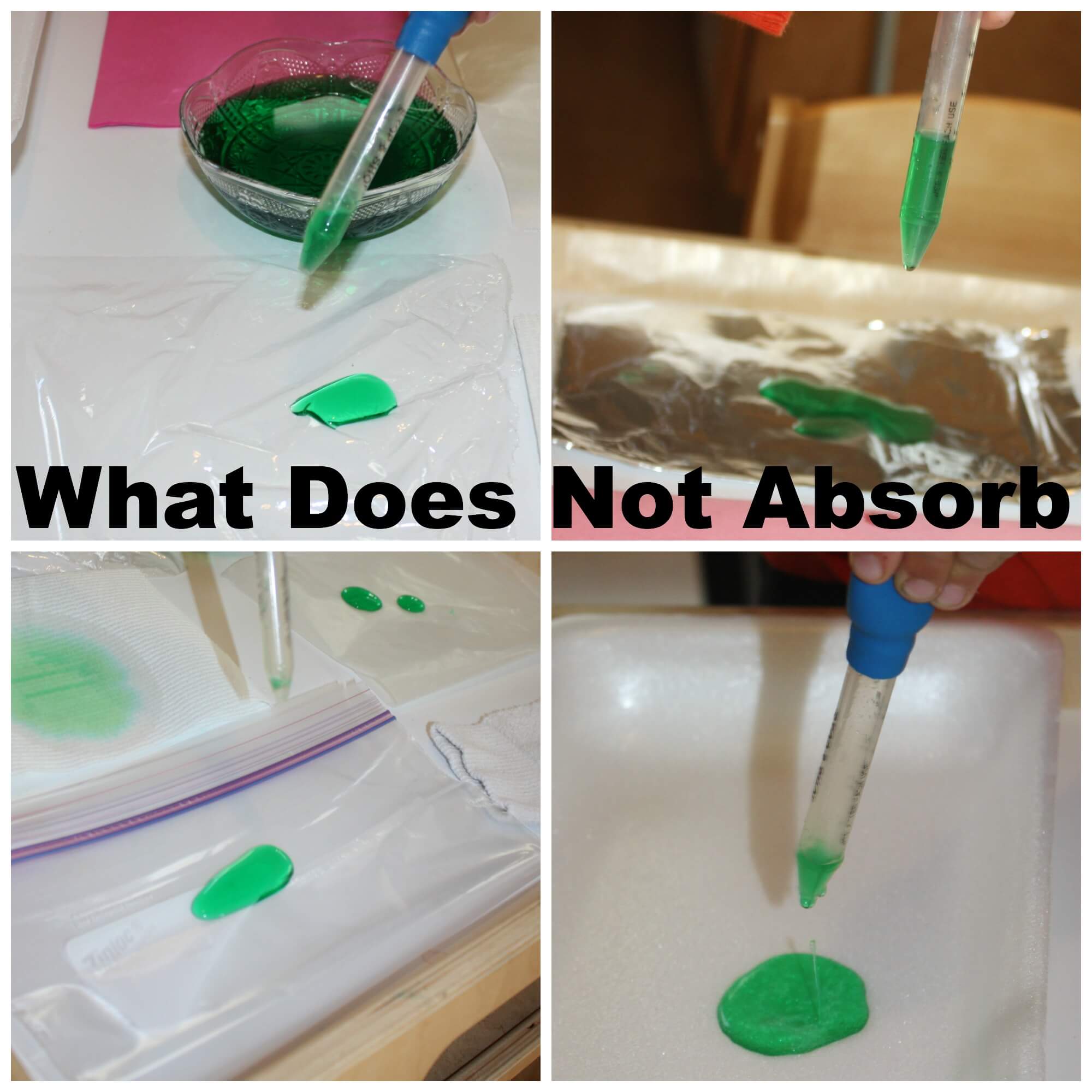 Which materials absorb the most water?