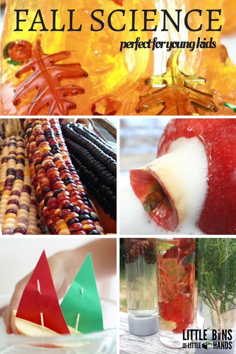 Fall Science Experiments and Science Activities for Kids