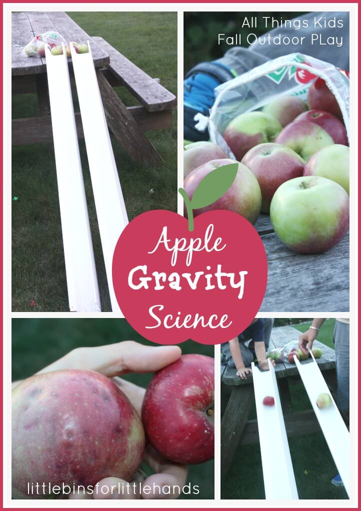 Apple Gravity Science Experiment And Outdoor Fall Apple Play