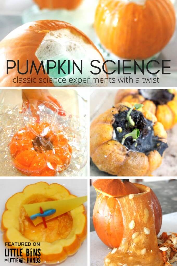 Pumpkin Science Experiments for Fall Science and Fall STEM Projects Preschool Kindergarten Toddler Pumpkin Activities