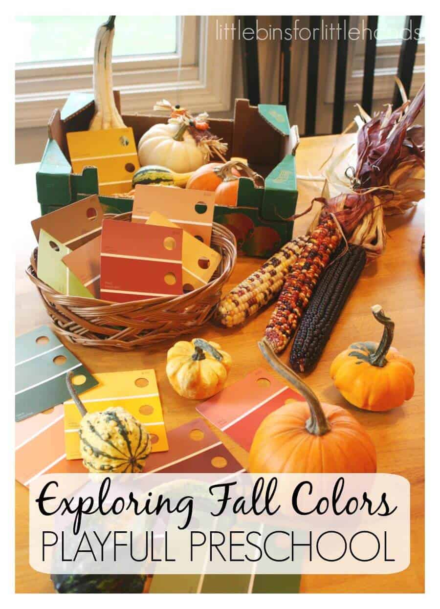 Exploring Fall Colors With Gourds Preschool Fall Activity | Little Bins