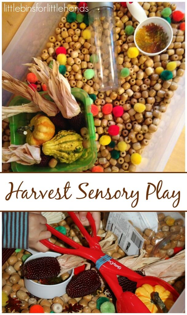 Fall Harvest Sensory Bin Play With Wooden Beads Gourds