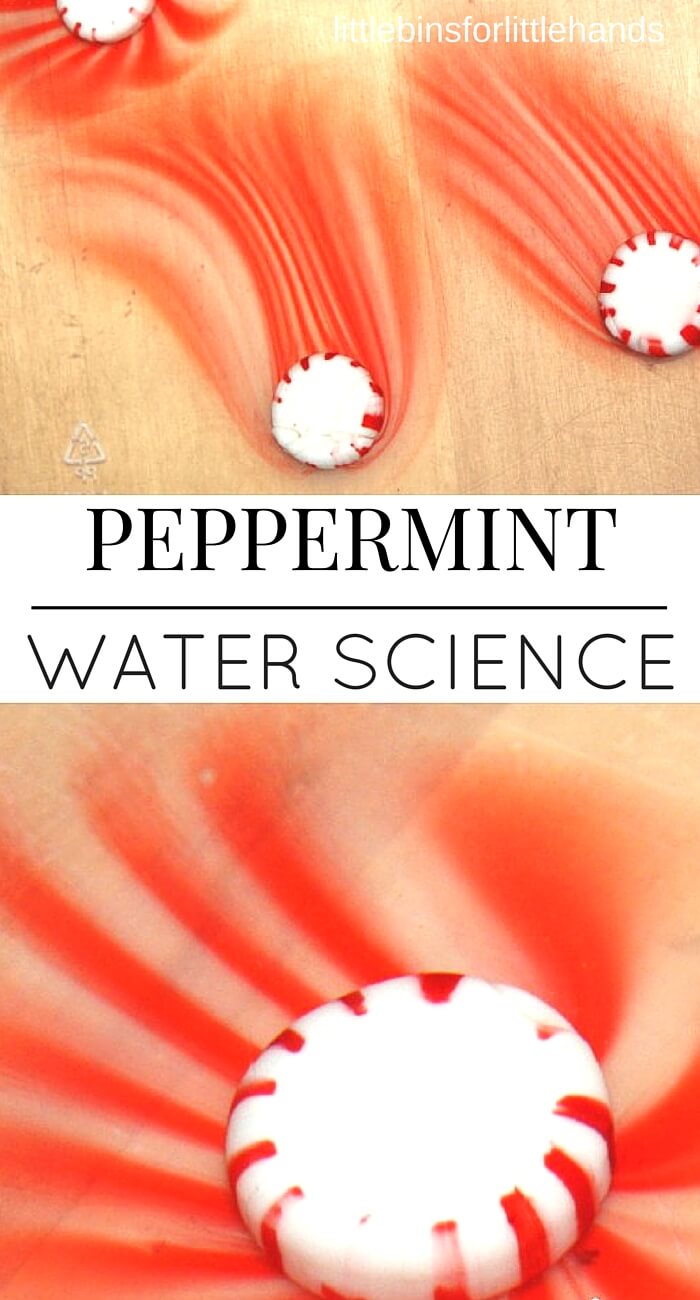 Peppermint Water Science Experiment Dissolving Candy Cane Activity