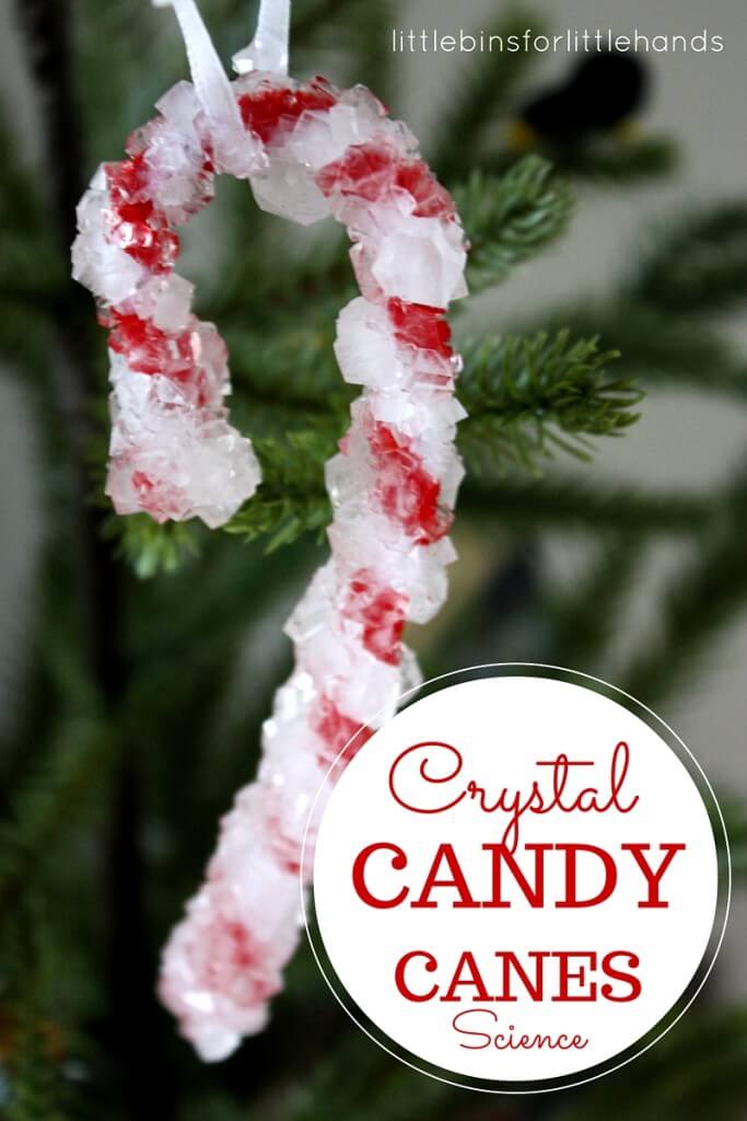 Christmas Science Growing Crystal Candy Canes Experiment