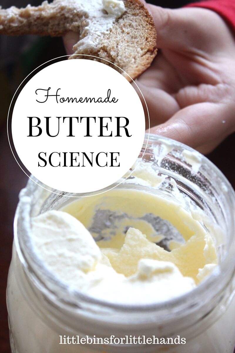 Homemade Butter Science Activity Make Butter in a Jar
