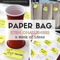 Paper bag STEM challenges week ideas for kids