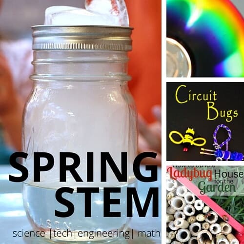 Spring STEM Activities and Plant Science Activities for Kids