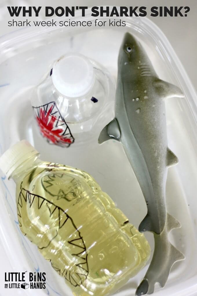 Shark Science Buoyancy Activity for Shark Week