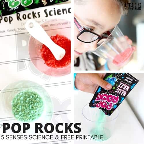 Printable Kids Science Worksheets for Science Experiments