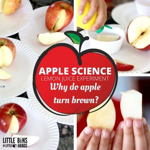 Apple Science and Lemon Juice Experiment for Fall Science and STEM