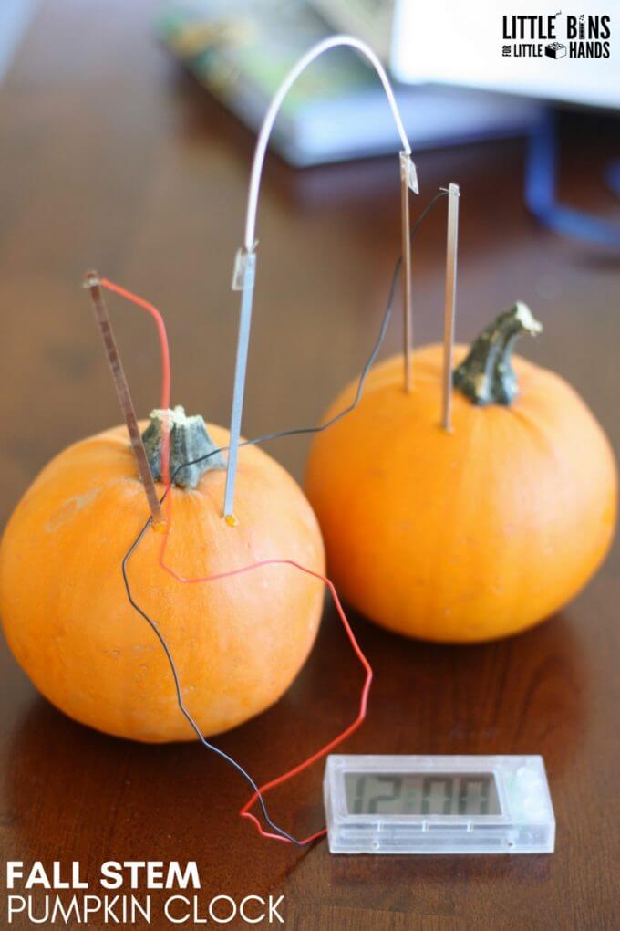 Pumpkin Clock for Fall STEM Using Potato Clock Kit