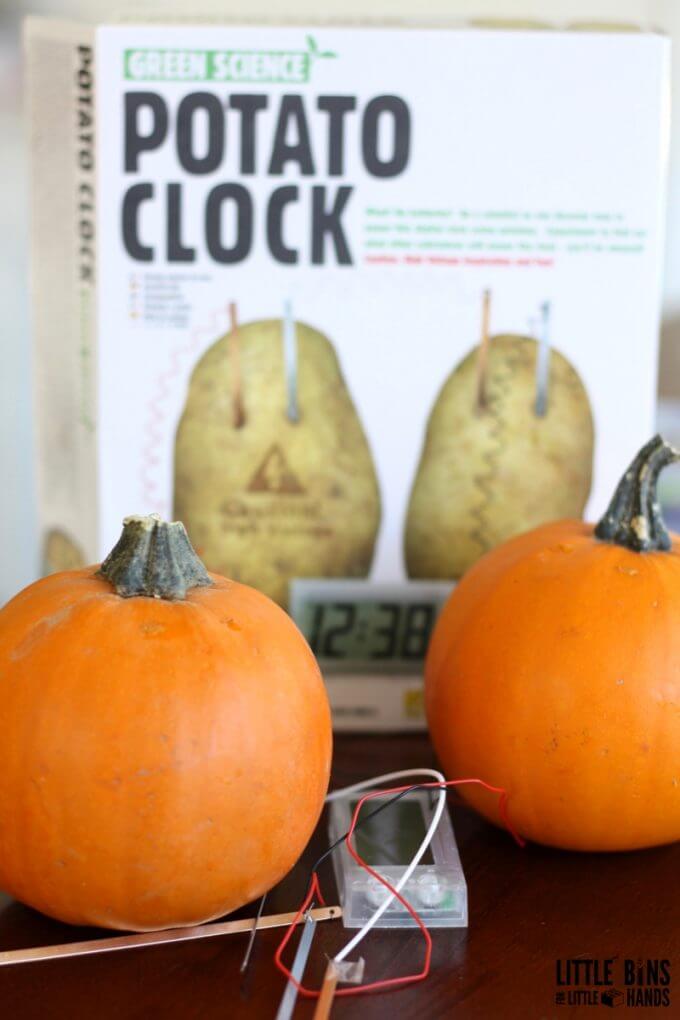 Pumpkin Potato Clock STEM Kit Science for Kids