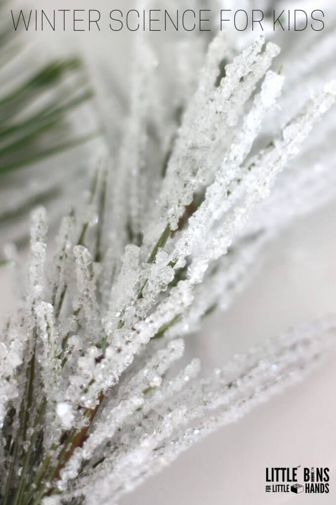 growing-crystals-winter-science