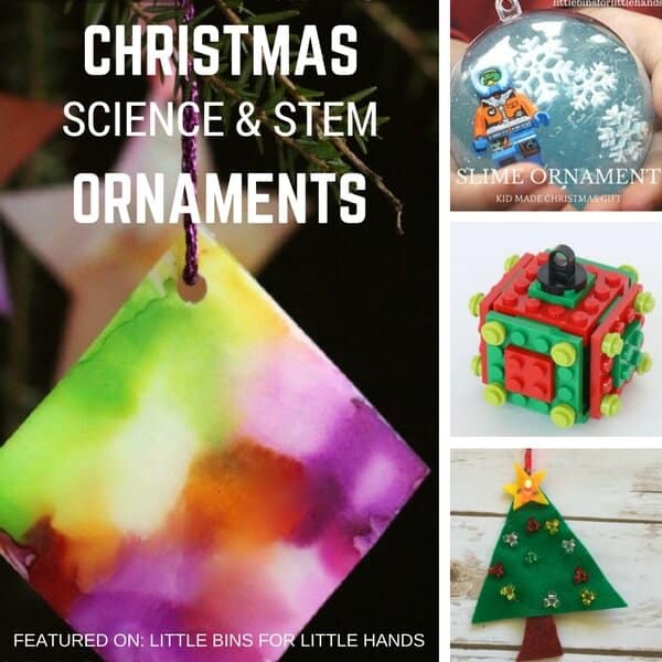 Science holiday homework for kids