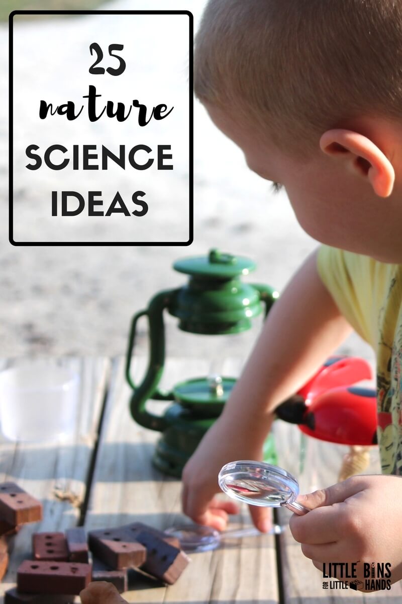 Preschool STEM Activities and Science Experiments for Kids