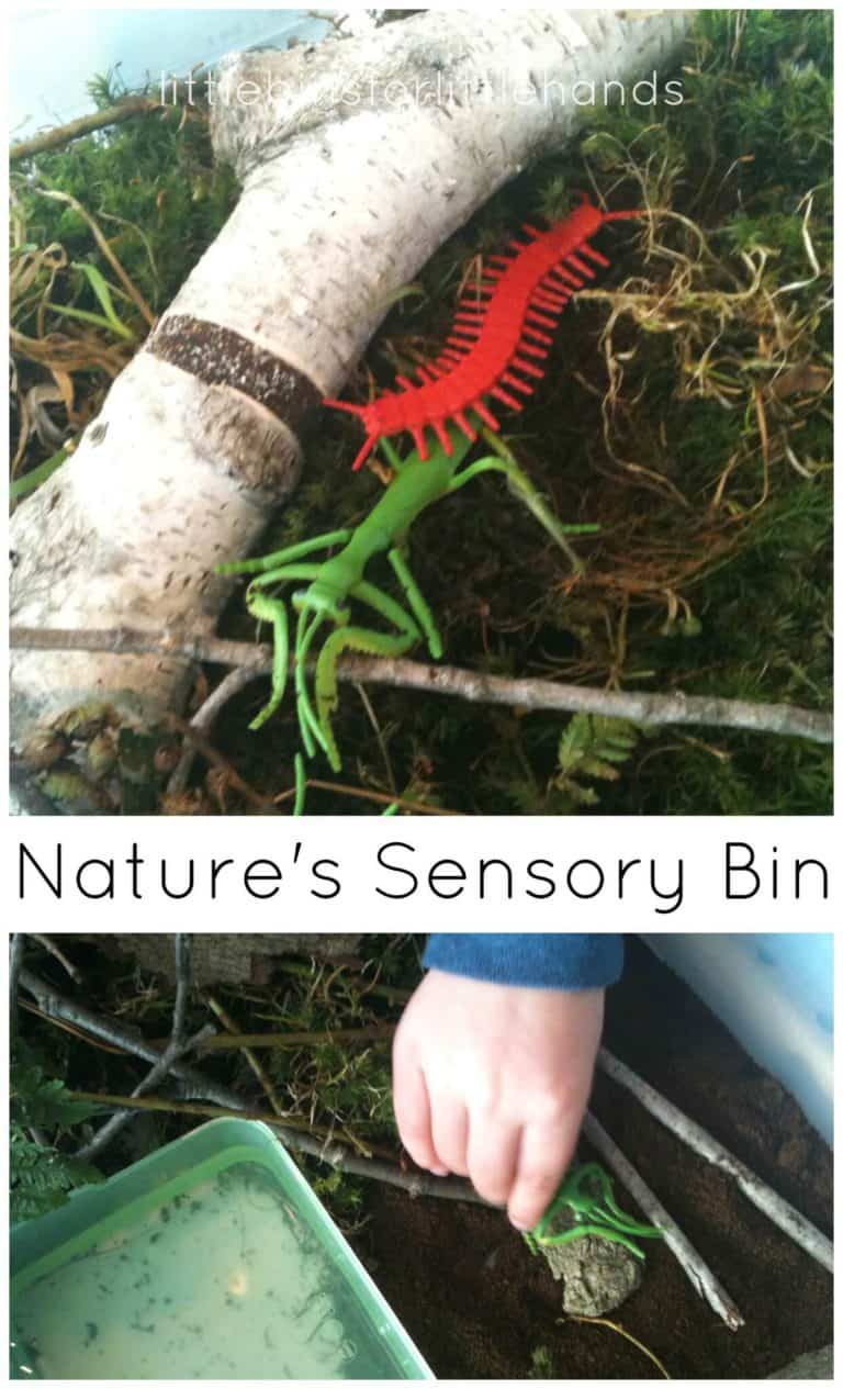 Nature Sensory Bin
