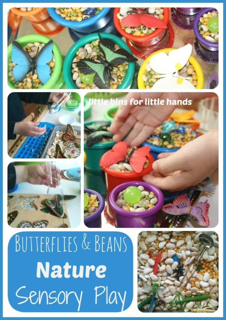 Butterflies and Beans Sensory Play