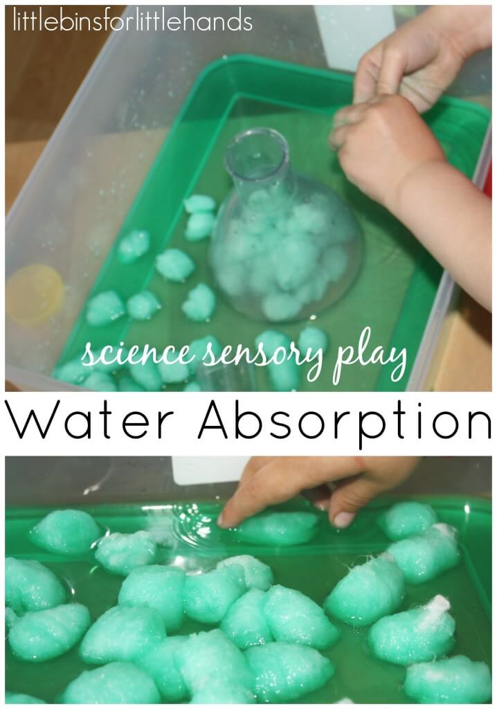 Water Sensory Science Experiment with cotton balls