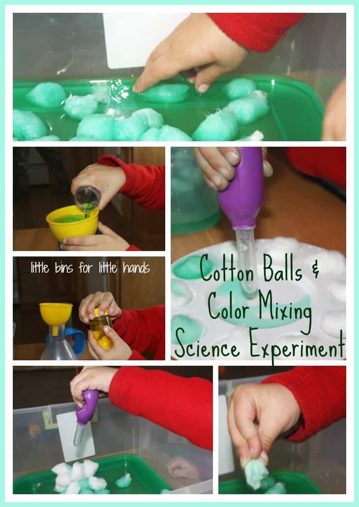 Cotton Ball Water Sensory Science Experiment