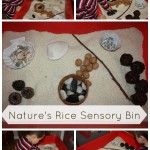 nature rice sensory bin