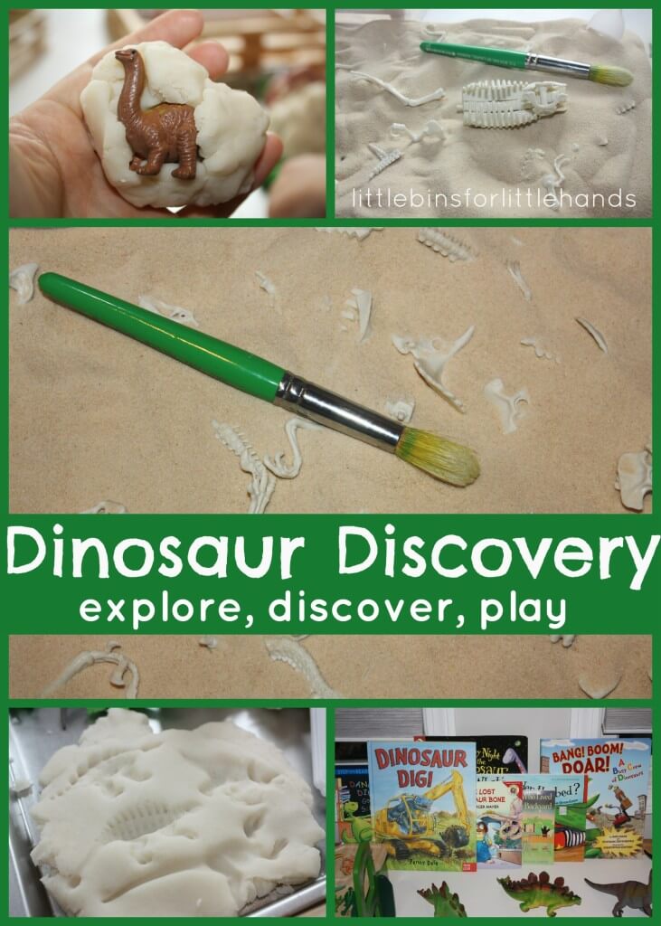 Dinosaur Discovery Table Explore Discover Play With Dinosaurs