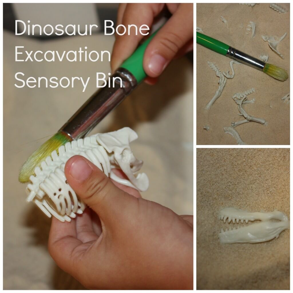 dinosaur excavation bin