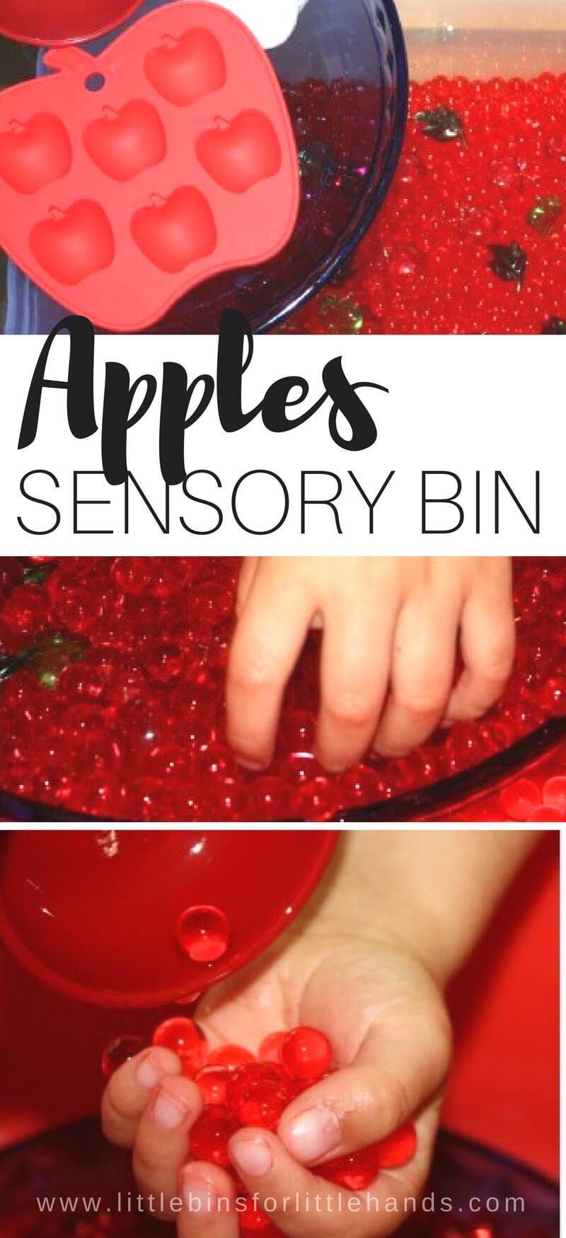 Creating simple sensory play experiences for our young explorers is an awesome way to have them engage their senses, explore new things, and learn all sorts of great life skills. We created this water beads apples sensory bin to explore the cool textures of this neat sensory bin filler and also to enjoy apple themed sensory play for fall!