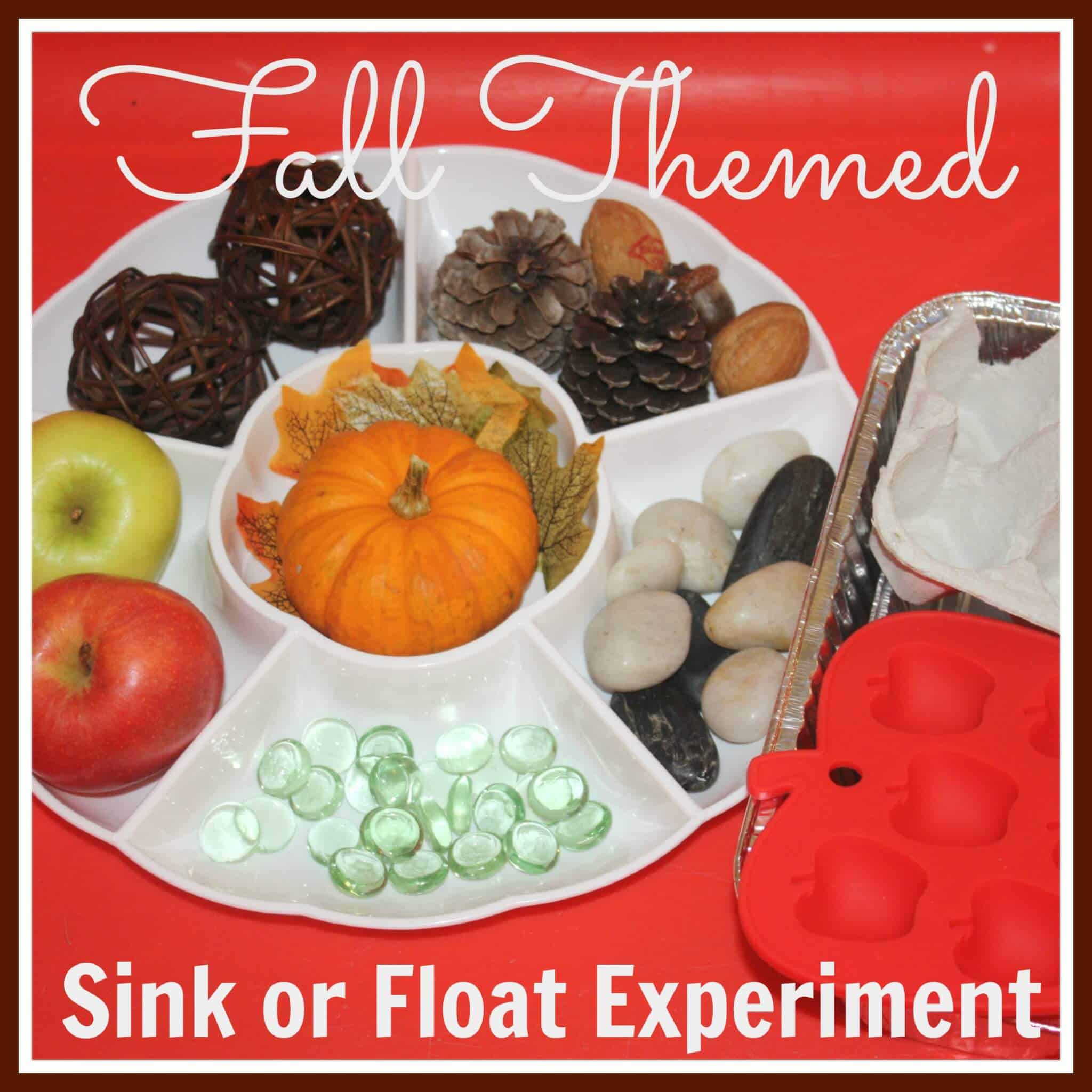 Fall Sink Float Science Invitation To Experiment Little
