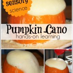 Pumpkin Cano Easy Sensory Science