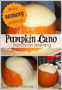 Pumpkin Cano Easy Sensory Science