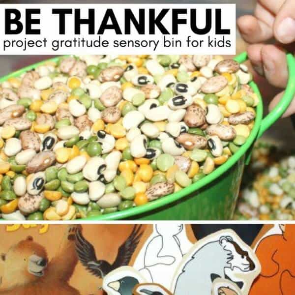 Bear Says Thanks Sensory Bin Project Gratitude