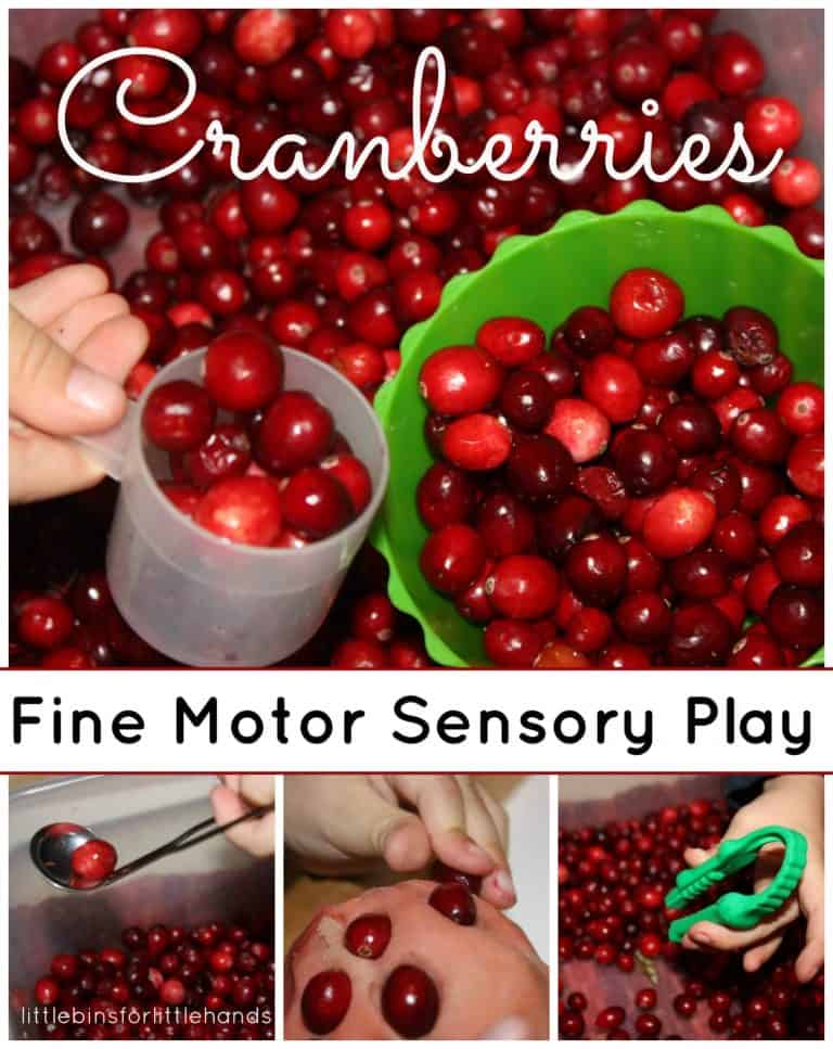 Cranberry Fine Motor Skills Activity