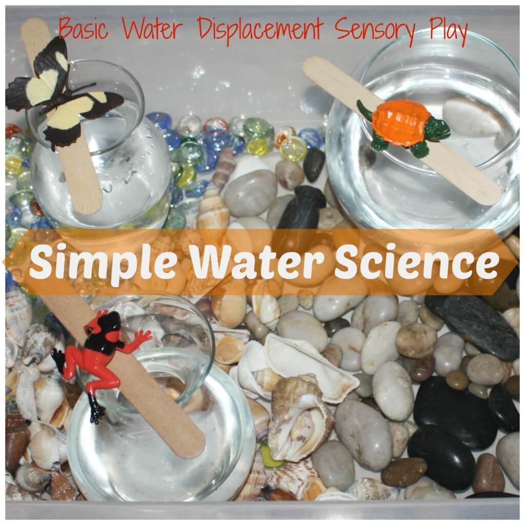 Water displacement science experiment