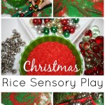 Christmas Sensory Bin With Colored Rice And Evergreens