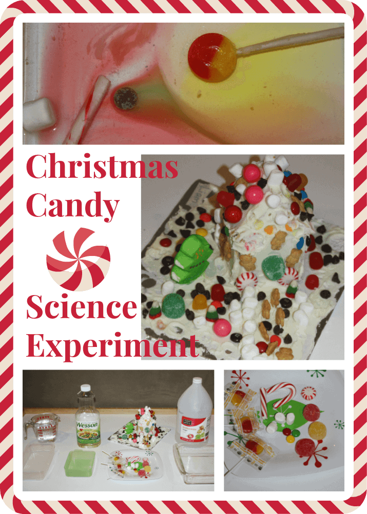 christmas candy science experiment activity