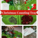 christmas counting tray activity