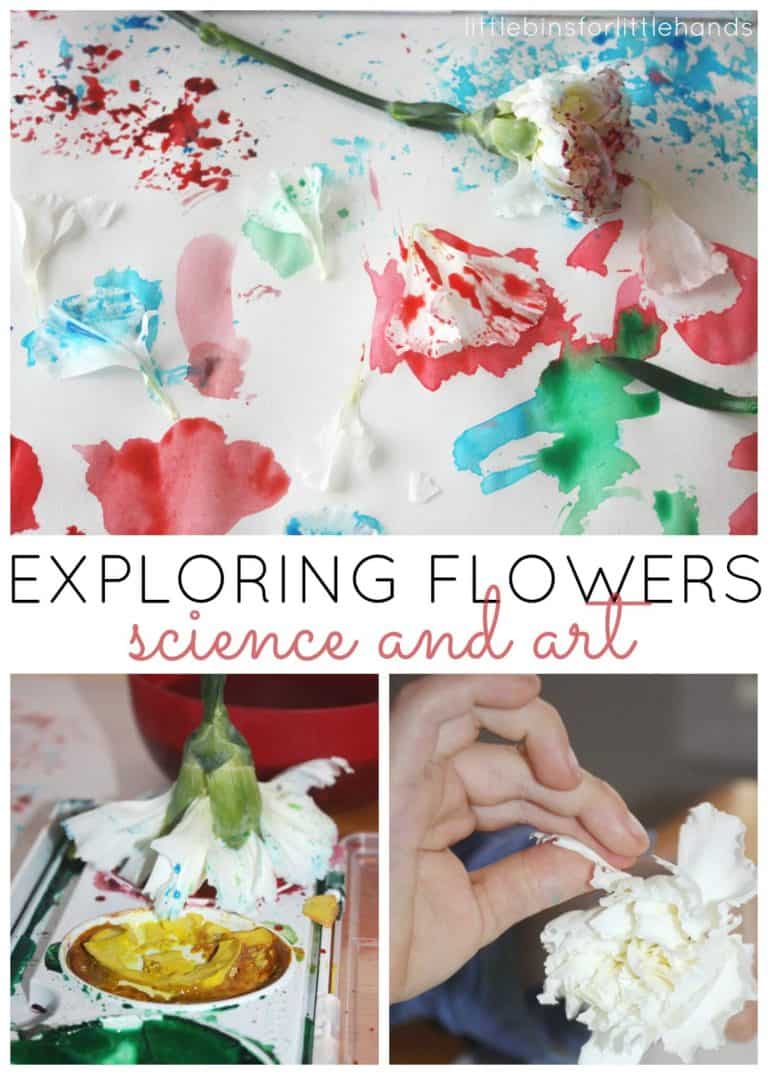 Flower Science and Art Activity for Kids