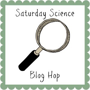 Saturday-Science-Blog-Hop-2