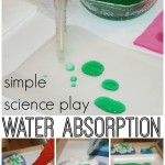 Water Absorption Science Experiment For Kids What Absorbs And What Does Not Absorb