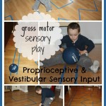proprioceptive sensory seeking line play activity