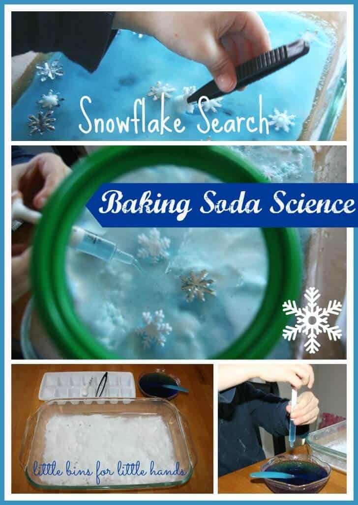 Winter Snowflake Baking Soda Science Experiment