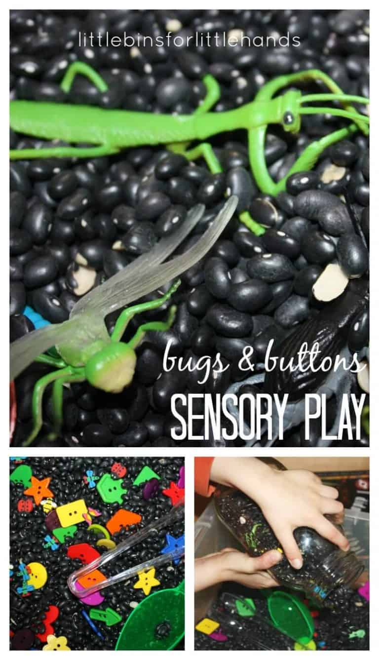 Beans, Buttons and Bugs Sensory Bin Play