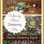 Calming Bean Sensory Bin Activity