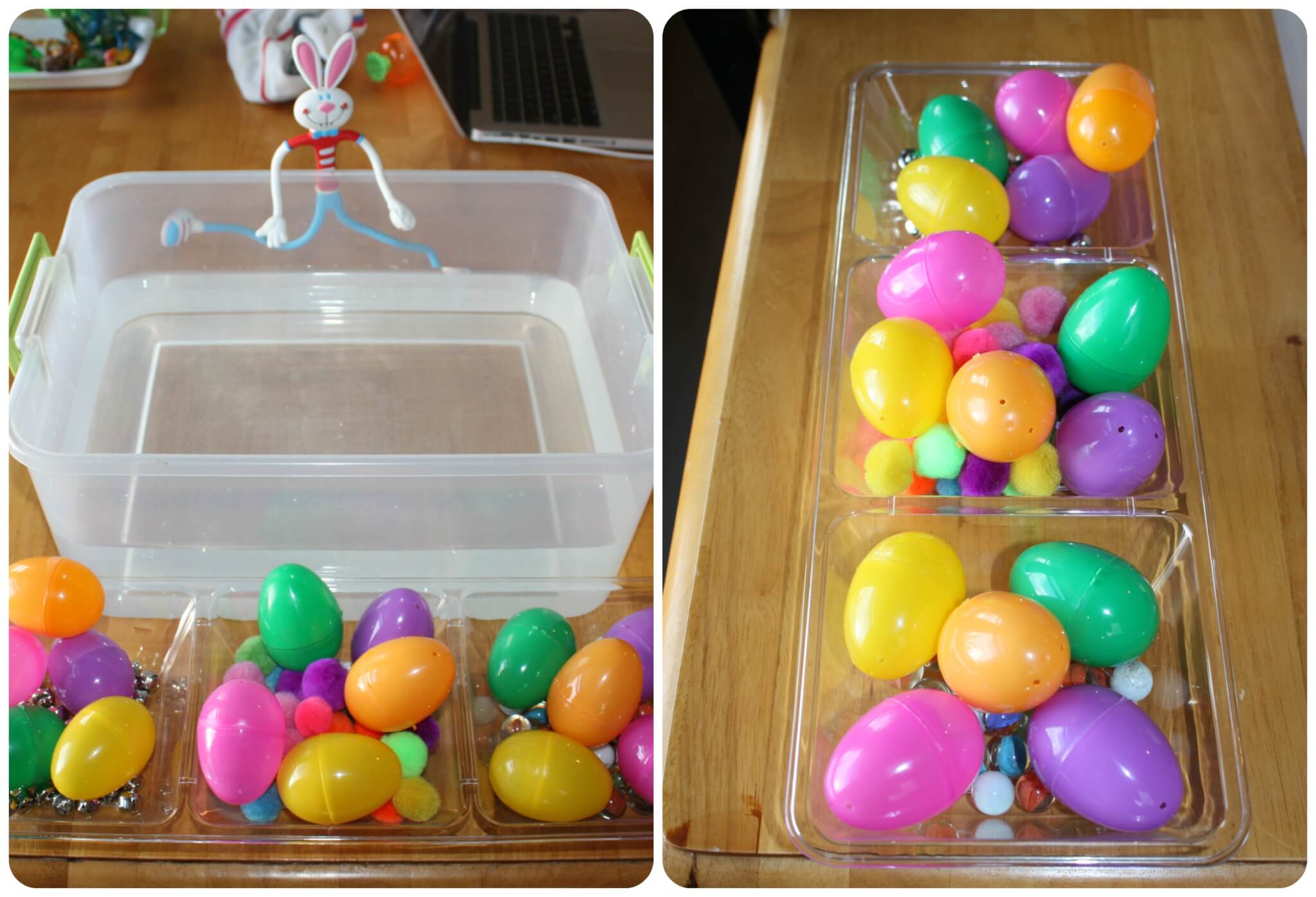 Egg Science Water Experiment Sink And Float