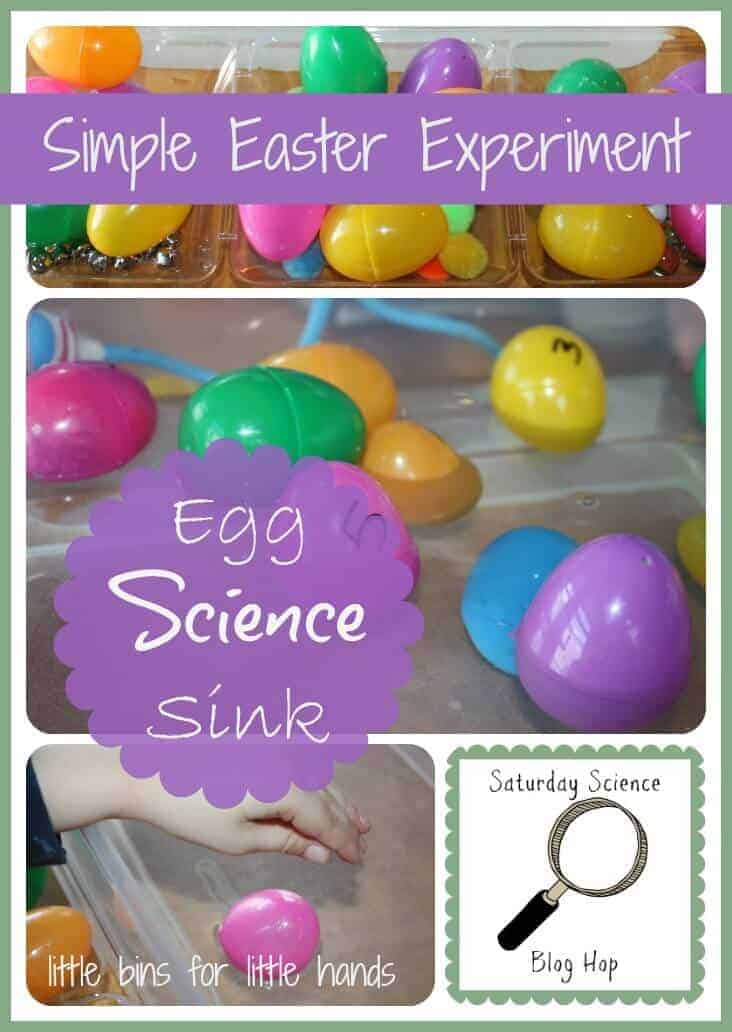 Egg Science Water Experiment Sink Float