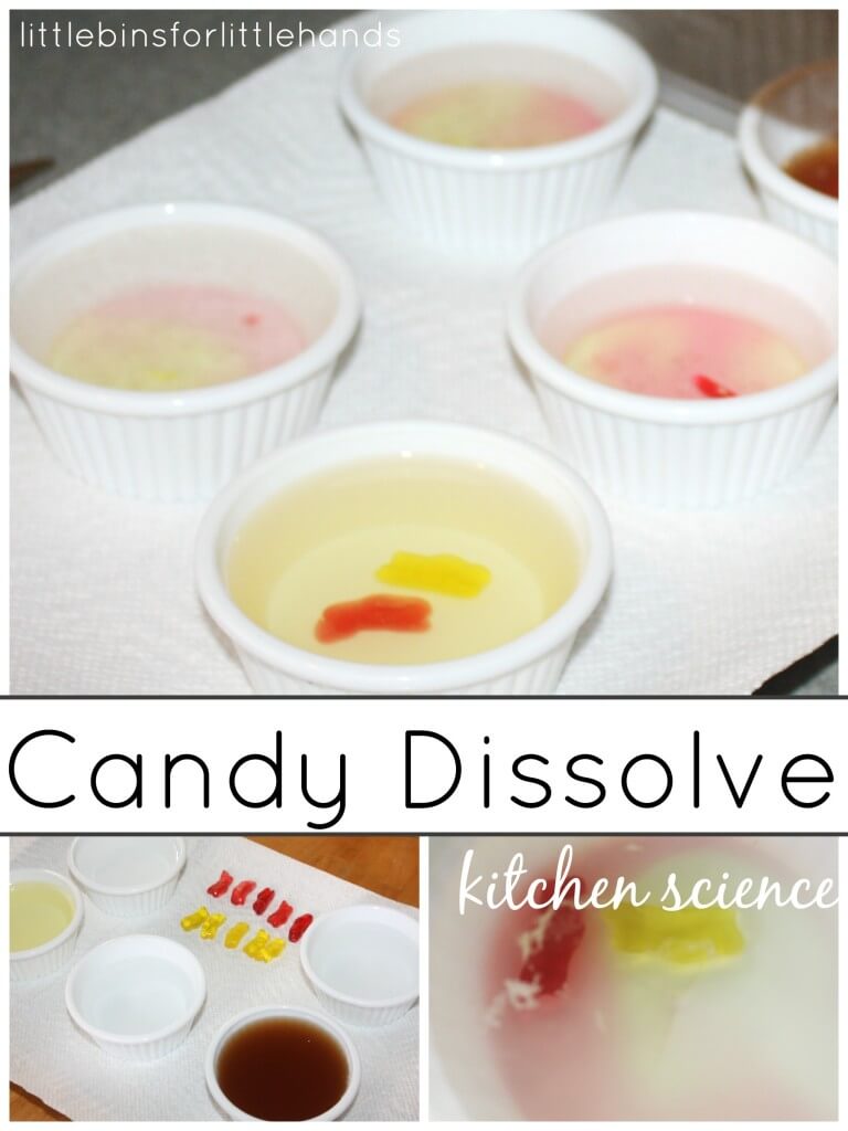 Candy Dissolve Science Experiment