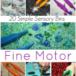 20 Fine Motor Sensory Bins