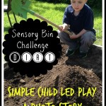 Dirt Sensory Bin Challenge Activity