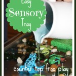 Sensory Tray Play Activity
